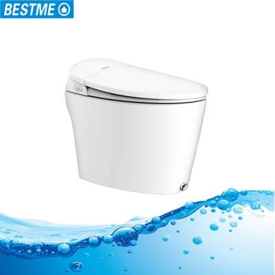 Intelligent smart toilet with self-cleaning spray nozzle seat